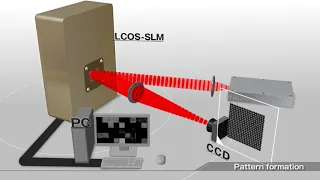 LCOS-SLM (Optical Phase Modulator)  Pattern forming