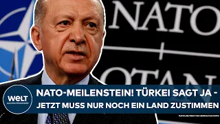 NATO: Die Türkei billigt den Beitritt von Schweden - jetzt hängt es nur noch an einem Land