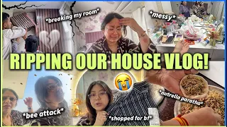 Ripping Our House Apart💔 Bee Attack!! 🐝 Vlog | ThatQuirkyMiss