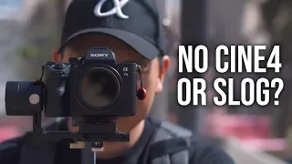 Why I Don't Shoot in CINE4 or S-Log Picture Profiles - Sony a7III a7RIII a7SII a6500