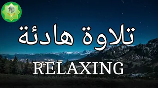 تلاوة قرآنية هادئة بصوت جميل لنوم عميق😴 ومريح خالى من التوتر والقلق 💤