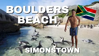 Boulders Beach: Escape to Cape Town's Penguin Paradise!🐧