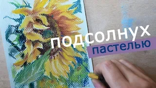 как нарисовать ПОДСОЛНУХ [как нарисовать цветы пастель]🌻