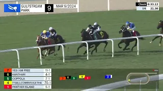 Gulfstream Park Carrera 9 (The Silks Run) - 9 de Marzo 2024