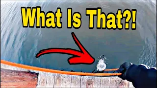 I Made The Most CHILLING Discovery EVER While Magnet Fishing!! (WARNING)