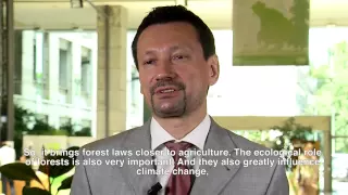 Alexander Panfilov, Deputy Head, Federal Forestry Agency, Russian Federation