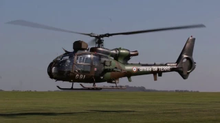 Gazelle 50th Anniversary Departures | Middle Wallop 2017