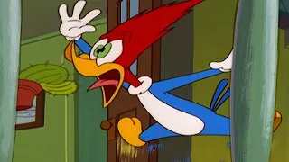 Woody Woodpecker | Dog Sitting Gone Wrong + More Full Episodes