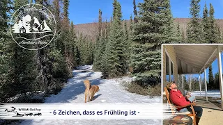 6 Zeichen, dass auch in Alaska der Frühling kommt... und natürlich Hunde...geht ja nicht ohne.