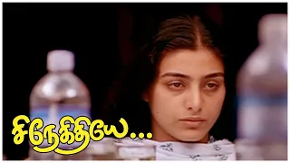 Snehithiye Super Scenes | Tabu's True Face Revelaed! | Jyothika | Sharbani Mukherjee | Tabu | API