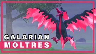 How to Catch Legendary Galarian MOLTRES in the Isle of Armor ► Pokemon Crown Tundra