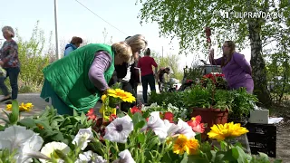 В садовых товариществах Ульяновской области отремонтируют дороги и проведут коммуникации