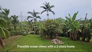 $47,800 - Prime Lot with Potential Ocean Views in Booming Cahuita