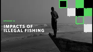 Impacts of Illegal Fishing