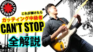 【TAB】Can't Stop レッド・ホット・チリ・ペッパーズ　1曲丸ごと解説 "Red Hot Chili Peppers"