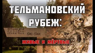 Два метра фекалий над солдатской могилой. Что происходит в поселке Тельмана???