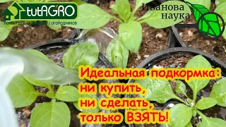 САМОЕ ЛУЧШЕЕ ПРИРОДНОЕ УДОБРЕНИЕ! Аналогов нет, купить или сделать невозможно! Можно только взять.