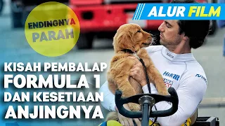 BUKTI KESETIAAN SEEKOR ANJING TERHADAP TUANNYA | Film Sebelum Tidur