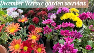 December Terrace garden Overview 😍 | Winter Garden