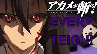 Akame Ga Kill IMPERIAL ARMS (ANIME ONLY) - EruptionFang