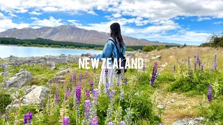 New Zealand Vlog | Relaxing Trip - 10 days trip in Christchurch, Queenstown, Franz Josef, Mt Cook