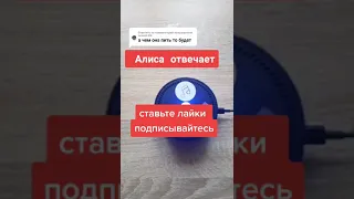 Алиса отвечает|приколы |  тик ток приколы | смешные видео | лучшие приколы | яндекс приколы|#shorts