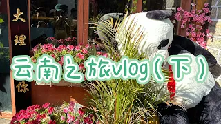 云南之旅vlog（下）—洱海喂海鸥、昆明米线合集、菌子锅等#生活 #记录 #云南 #云南美食 #food #chinesefood #travel#asianfood #record #life