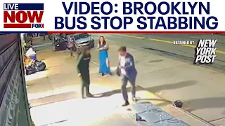 Brooklyn bus stop stabbing: Activist killed in front of girlfriend | LiveNOW from FOX