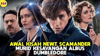 Dunia Sihir Sebelum Harry Potter Lahir - ALUR CERITA FILM Fantastic Beasts and Where to Find Them