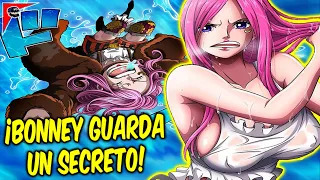 🚨 ¡BONNEY es mas JOVEN de lo que PARECE y te lo demostrare! - ONE PIECE TEORIA