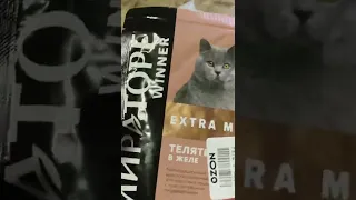 Переводим кота Малыша на российский корм Winner от Мираторга #мэйнкун #кормдлякошек #мираторг