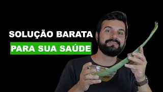 Como fazer o suco da Babosa? | Tem que tirar o veneno dela