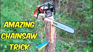 Amazing Chainsaw Trick