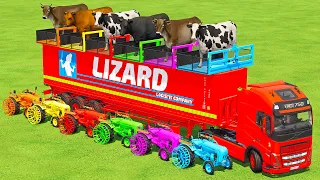 TRANSPORTING COWS WITH PORSCHE MINI TRACTORS & VOLVO TRUCK - Farming Simulator 22