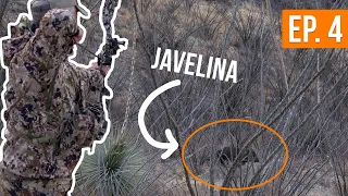 JAVELINA AT 25 YARDS | Arizona Archery (EP. 4)