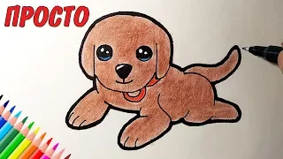 How to draw a cute puppy whole, easy drawings for kids and beginners #drawings