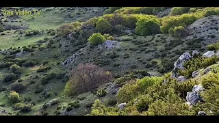 Για μερακλήδες κυνηγούς.!!