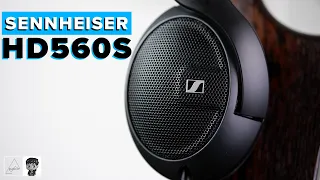 Sennheiser HD 560S Review - Best headphone under $200?