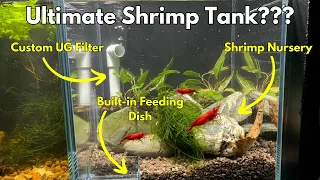 The Ultimate Cherry Shrimp Tank Set-Up! 🦐