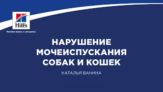 Вебинар на тему: "Нарушение мочеиспускания собак и кошек". Лектор - Наталья Ванина.