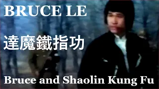 Bruce Le - Bruce and Shaolin Kung Fu 達魔鐵指功