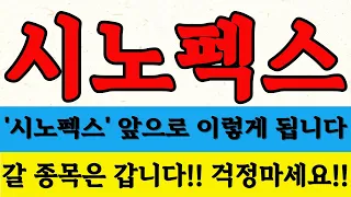 [시노펙스] 갈 종목은 갑니다!! 지속적으로 담고 있는 세력!! 성공한 사람들이 성공하는 이유는 작은 차이에서 나타납니다!!#박부장