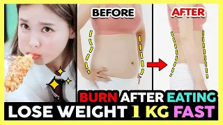 🔥BURN FAT AFTER EATING | EASY FULL-BODY WORKOUT TO LOSE WEIGHT 1KG FAST (No jumping, No Equipment)