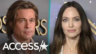 Brad Pitt Claims Angelina Jolie 'Sought To Inflict Harm' w/ Vineyard Sale