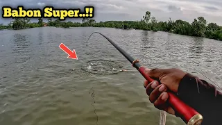 Ini Dia Yang Di Tunggu2..!! Mancing Belanak Sungai Dapet Babon2 Auto Full Senyum 😁