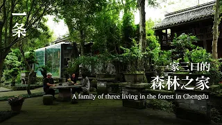 [EngSub]A Family of Three Living in the Forest in Chengdu 一家三口的森林之家，被媒體捧紅後，繼續孤獨打造樂園