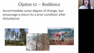 Climate Change Adaptation in Forest Management: Resistance, Resilience, and Transition