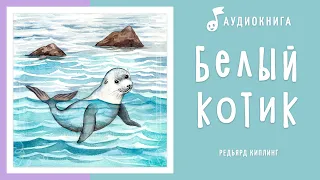 Белый котик | Книга Джунглей | Аудиокнига