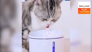 Dogness Automatic Water Dispenser for Cat or Dog - Banggood Toy