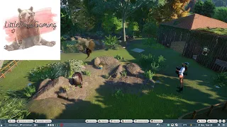 Planet Zoo Asian Small-clawed Otter Gameplay